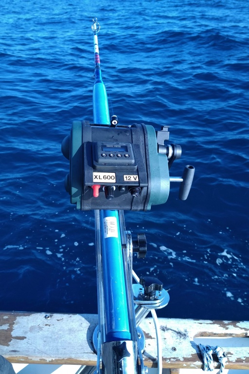 Le XL 600 en pleine action sur le bateau du moniteur guide de pêche Fabien Harbers Le XL 600 en pleine action sur le bateau du moniteur guide de pêche Fabien Harbers