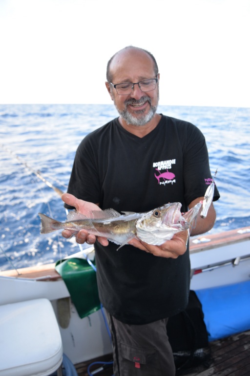 Merlu pris avec un inchiku Daiwa en grandes profondeurs