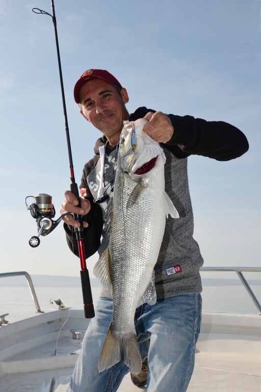 La pêche en traction au casting jig est redoutable d’efficacité sur les bars ! La pêche en traction au casting jig est redoutable d’efficacité sur les bars !
