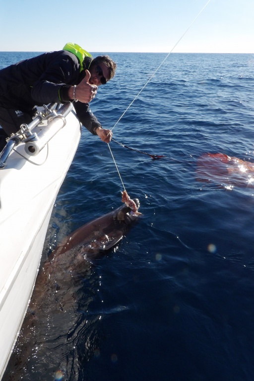 Fabien Harbers avec un griset de 3 m ! Fabien Harbers avec un griset de 3 m !