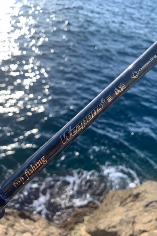 Canne Weapons Top Fishing Canne Weapons Top Fishing