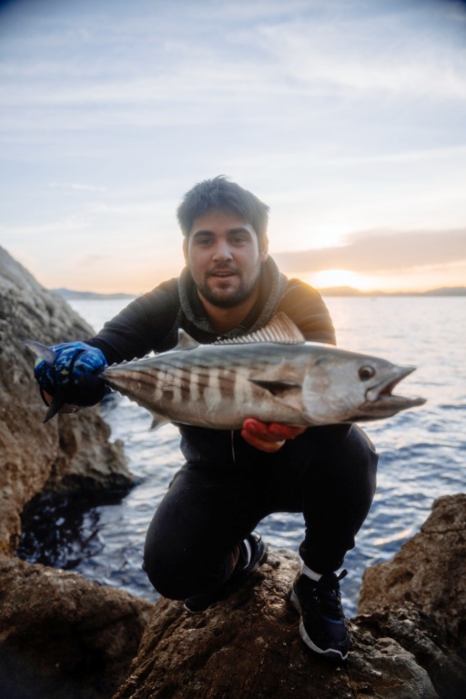 Joli pélamide prise avec la canne Weapons Top Fishing Joli pélamide prise avec la canne Weapons Top Fishing