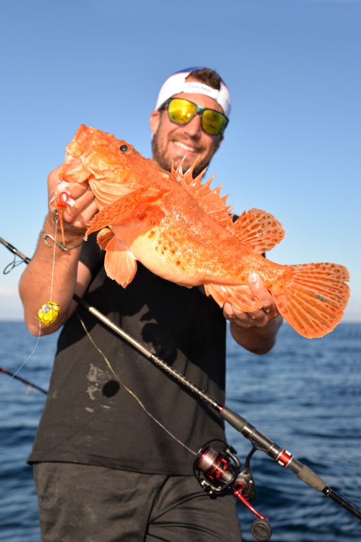 Magnifique chapon pris au kabura Bunri Kab Explorer Tackle boosté aux lanières de calamar