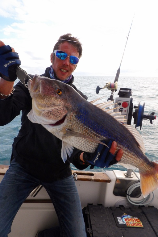 Beau denti pris par Fabien au downrigger XL 90 Kristal Fishing Beau denti pris par Fabien au downrigger XL 90 Kristal Fishing