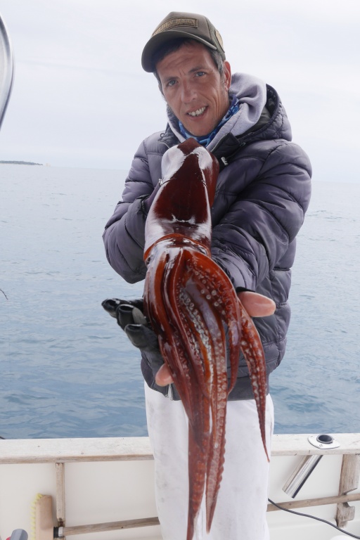 La canne In Shore C198 Top Fishing associée à un moulinet electrique permet de pêcher profondément les calamars rouges ! 