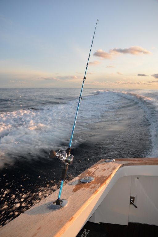 Canne Jig light Inchiku Italcanna : multi techniques pour vos pêches verticales aux leurres Canne Jig light Inchiku Italcanna : multi techniques pour vos pêches verticales aux leurres