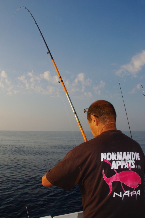 Sur ligne fine, la pêche du pageot à l’appât est passionnante !