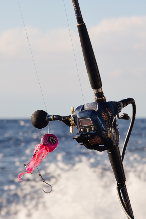 L’Omega Slider Paragon en configuration madaï / kabura : hyper efficace en pêches profondes ! L’Omega Slider Paragon en configuration madaï / kabura : hyper efficace en pêches profondes !