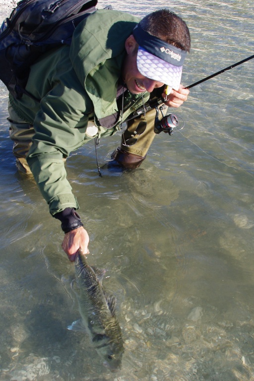 Relâcher un bar faisant bien plus que la taille légale de prélèvement (catch and release) est pratiqué par de plus en plus de pêcheurs ! Relâcher un bar faisant bien plus que la taille légale de prélèvement (catch and release) est pratiqué par de plus en plus de pêcheurs !
