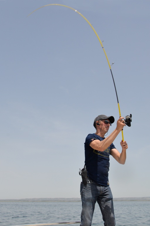 Pour les bonites, un stickbait se lançant à de grandes distances est conseillé