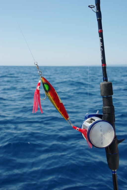 Un petit octopus en teaser sur l’hameçon du slow jig est très efficace sur les merlus !