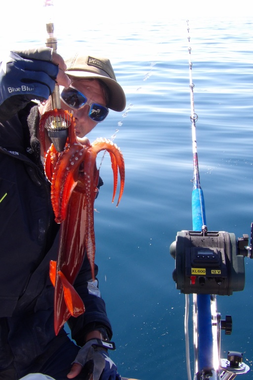 Avec la fonction jigging du XL 600, il est possible de prendre facilement et rapidement de beaux calamars rouges à la turlutte plombée ! 