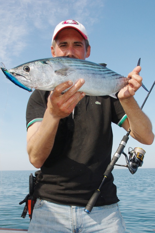 Une autre pélamide qui n’a pu résister au Crystal 3D Minnow SP Yo-Zuri ! Une autre pélamide qui n’a pu résister au Crystal 3D Minnow SP Yo-Zuri !