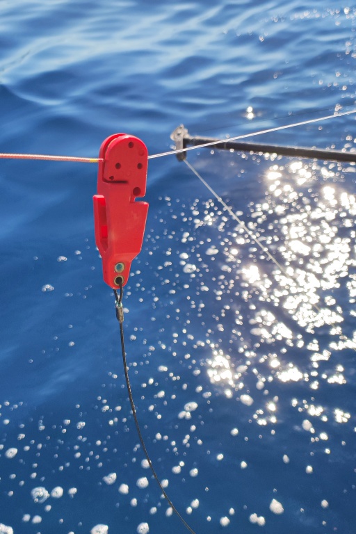 La pince déclencheuse est installée au nœud de raccord tresse / bas de ligne La pince déclencheuse est installée au nœud de raccord tresse / bas de ligne