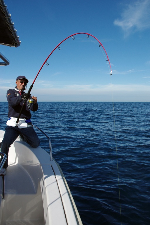 Ces minnows ultra renforcés supportent les énormes pressions exercées lors d’un combat avec un thon Ces minnows ultra renforcés supportent les énormes pressions exercées lors d’un combat avec un thon