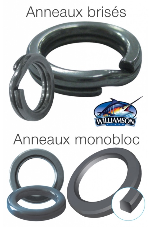 Anneaux Williamson 2014. Anneaux Williamson 2014.