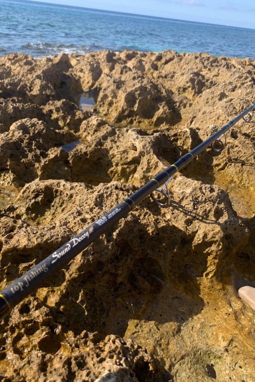 La canne Sound Decoy est une superbe canne pour le lancer dans les chasses La canne Sound Decoy est une superbe canne pour le lancer dans les chasses
