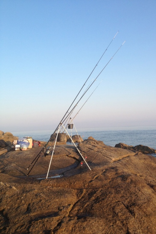 Cannes pour la pêche en surfcasting Cannes pour la pêche en surfcasting