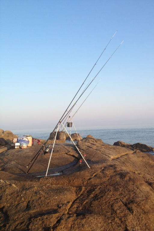 Cannes pour la pêche en surfcasting 