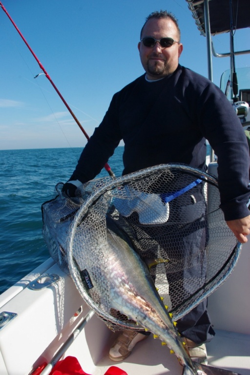 Thon au jig minnow (poisson monté sur le bateau pour mesure. Bague à bord) Thon au jig minnow (poisson monté sur le bateau pour mesure. Bague à bord)