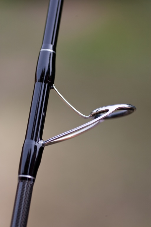 detail dragon bait seabass detail dragon bait seabass