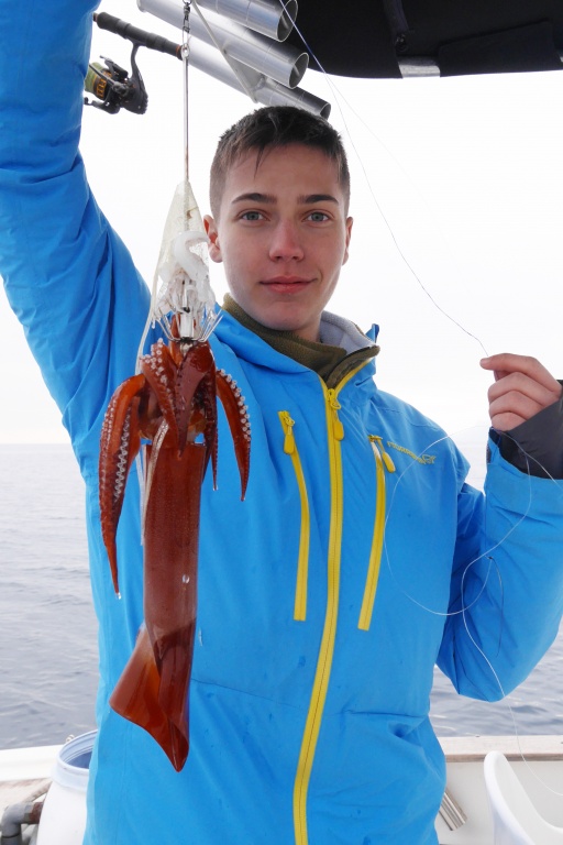 Il touchera immédiatement après un second calamar rouge. La pêche au moulinet électrique est vraiment un jeu d’enfant !