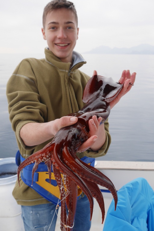 Il touchera immédiatement après un second calamar rouge. La pêche au moulinet électrique est vraiment un jeu d’enfant ! Il touchera immédiatement après un second calamar rouge. La pêche au moulinet électrique est vraiment un jeu d’enfant !