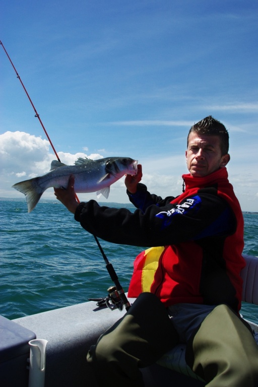 essai du blue shad cote émeraude 