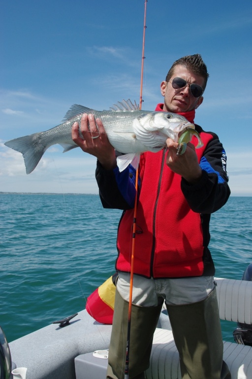 gros bar sur un blue shad de 15 cm 