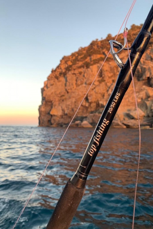 La nouvelle canne Top Fishing 20/50lbs pour la traîne La nouvelle canne Top Fishing 20/50lbs pour la traîne