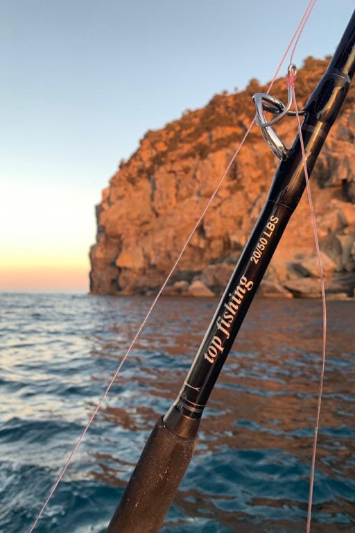 La nouvelle canne Top Fishing 20/50lbs pour la traîne