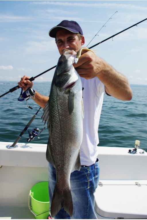 Le Fin s fish Lunker City est un excellent leurre pour la peche a la volee Le Fin s fish Lunker City est un excellent leurre pour la peche a la volee