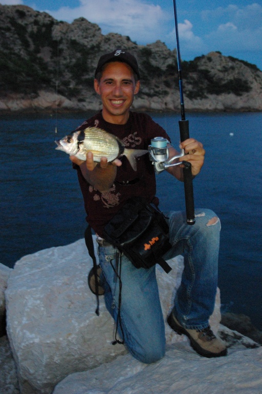 Le sar est un poisson courament touché en rockfishing