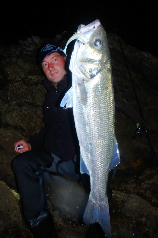 Le shad pulse blanc est une valeur sûre, la nuit !