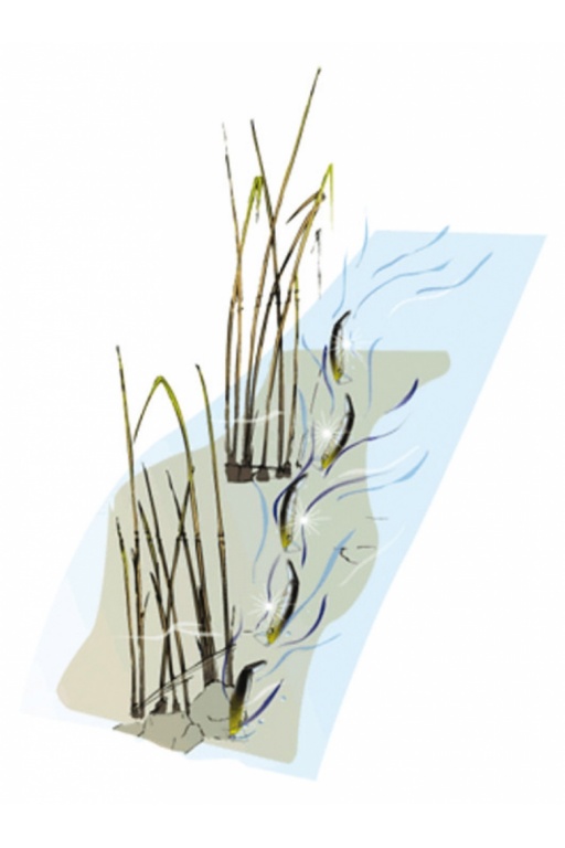 Leurre Yo-Zuri saison 2015 Crystal 3D Minnow. Leurre Yo-Zuri saison 2015 Crystal 3D Minnow.
