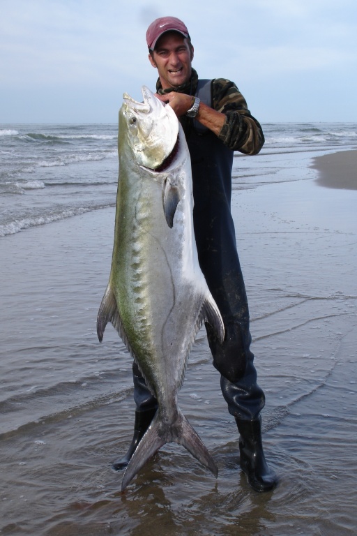 Liche amie de 28 kg pris par Jérome du bord avec un leurre de type flapper