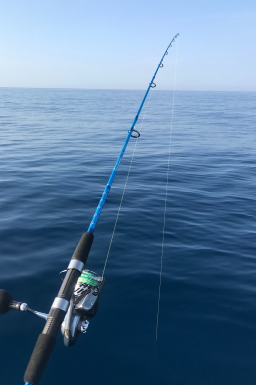 Photo d'ambiance avec une italcanna tataki squid (Lucas)