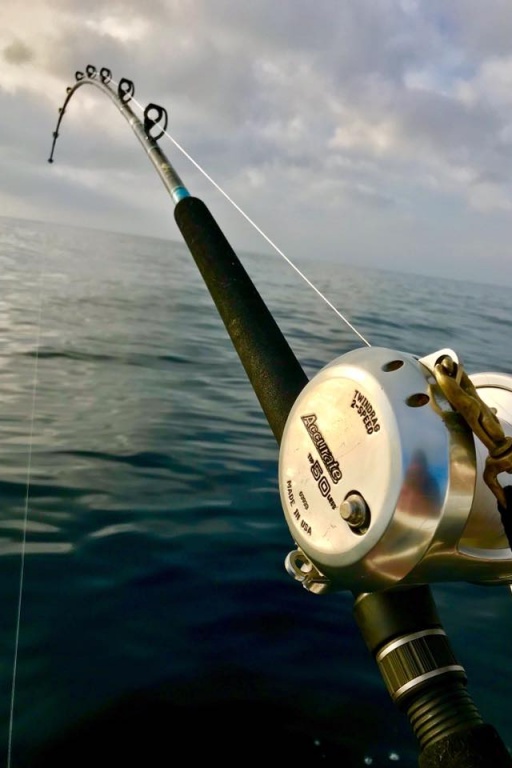 Moulinet Accurate Platinium Twin Drag en pêche Moulinet Accurate Platinium Twin Drag en pêche