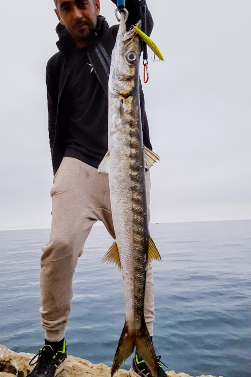 Magnifique barracuda pris par Salim au Nemesi 180 en côte rocheuse