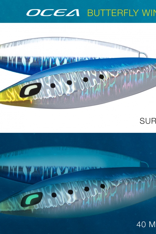 Dans les profondeurs, la brillance et la phosphorescence créent un stimulus visuel fort