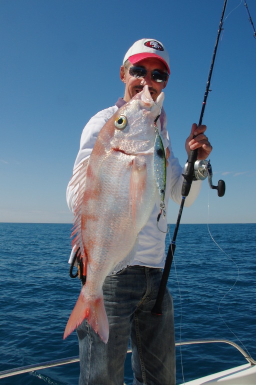 Pageot de 2 kg au D Slow Jig Daiwa Pageot de 2 kg au D Slow Jig Daiwa