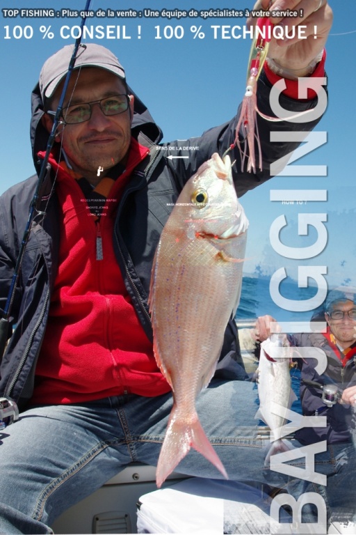 pageo inchiku pirate daiwa pageo inchiku pirate daiwa
