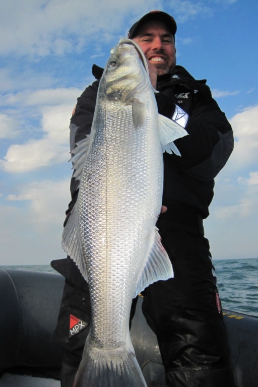 peche au loup avec pure fishing