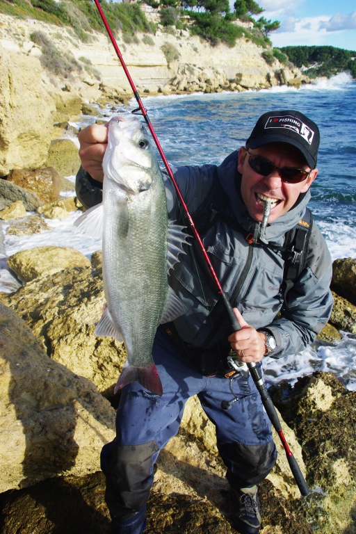Pêche au Shad du Bord, ici un loup piégé par un One Up Shad pailleté Pêche au Shad du Bord, ici un loup piégé par un One Up Shad pailleté