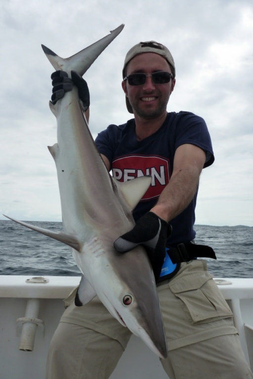 Pêche d'un requin avec un leurre Sébile Pêche d'un requin avec un leurre Sébile