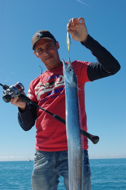Sabre pris en slow jigging sur un Mr Slow jig Daiwa Sabre pris en slow jigging sur un Mr Slow jig Daiwa