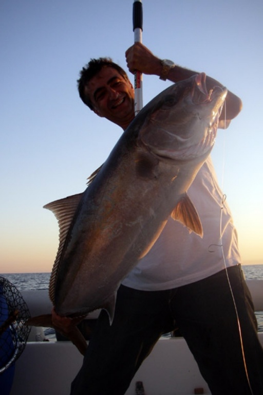 Sériole pêchée au vif