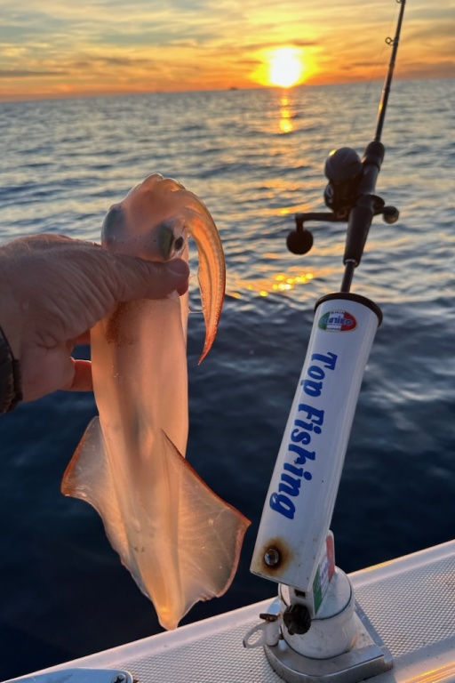 Philippe Maréchal pêche au calamar à Carry Philippe Maréchal pêche au calamar à Carry