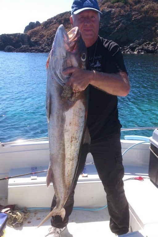 Philippe Remillieux avec une belle sériole à la traine (en Corse) Philippe Remillieux avec une belle sériole à la traine (en Corse)