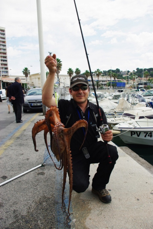 poulpe pêcher du port 